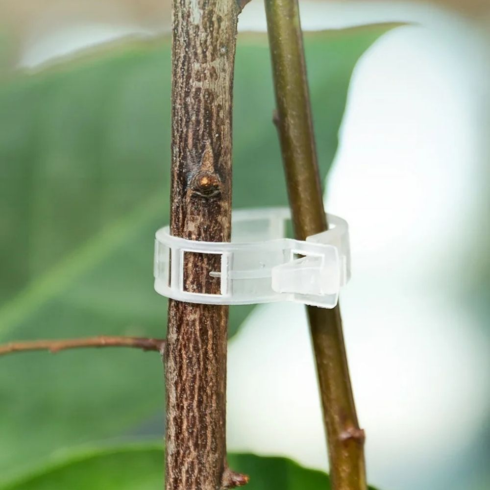 Reusable Smart Clips for Plant Support (100 clips)