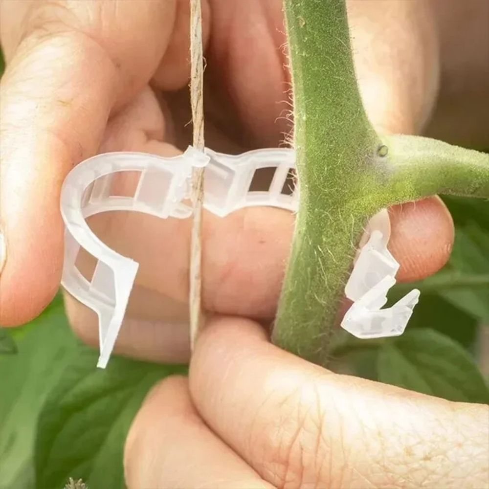 Reusable Smart Clips for Plant Support (100 clips)