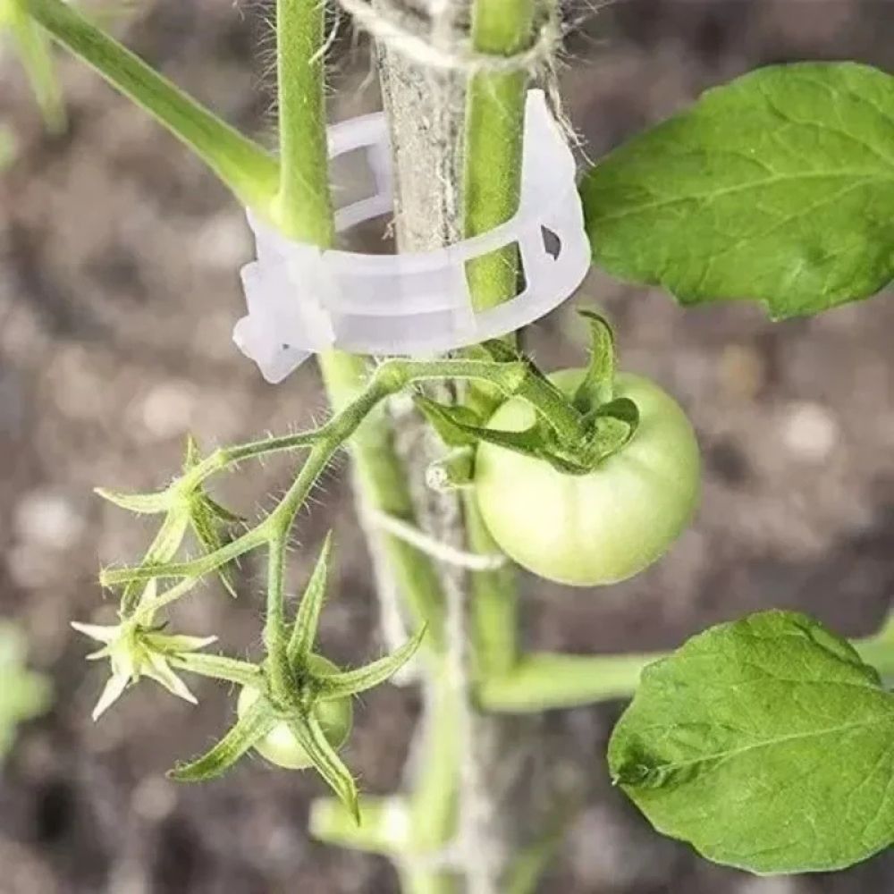 Reusable Smart Clips for Plant Support (100 clips)