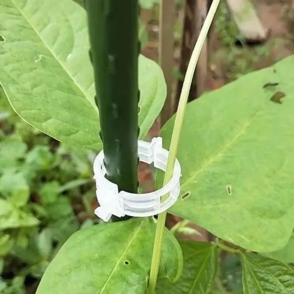 Reusable Smart Clips for Plant Support (100 clips)