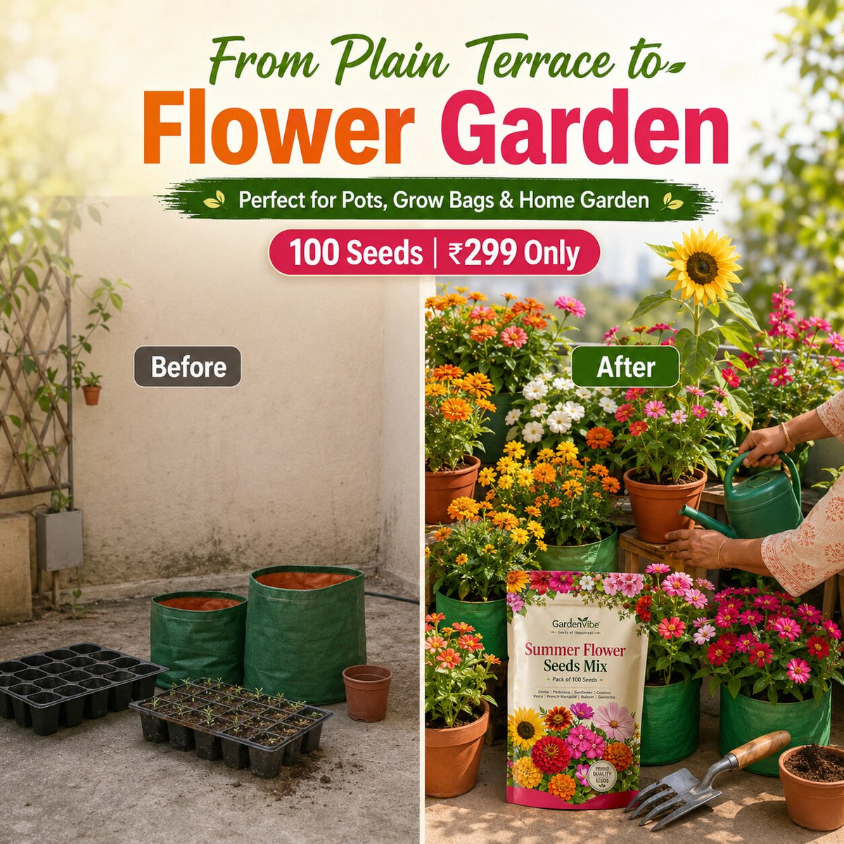Summer Flower Seeds Mix – For Balcony, Terrace & Home Garden